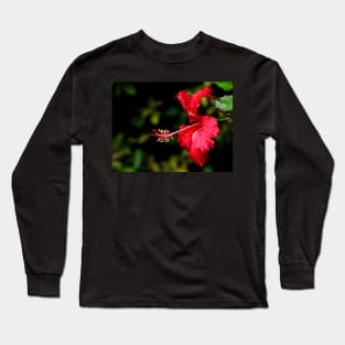 Dancing Red Hibiscus Long Sleeve T-Shirt